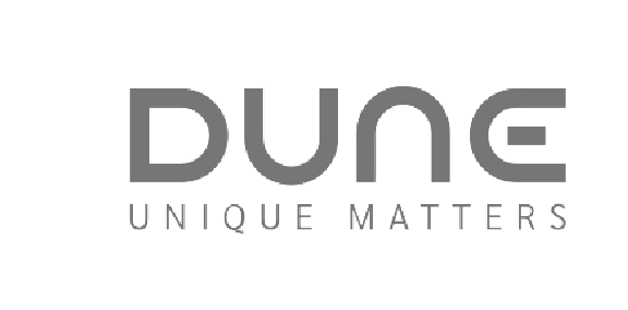 Logo Dune Gris