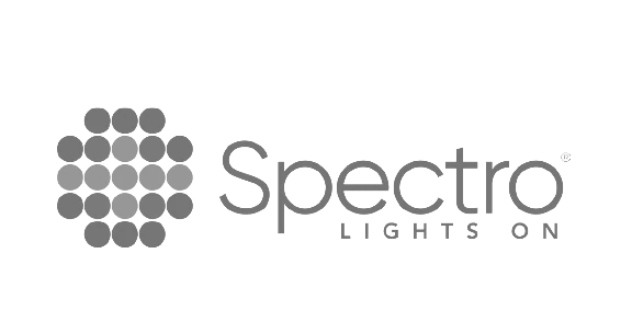 Logo Spectro gris