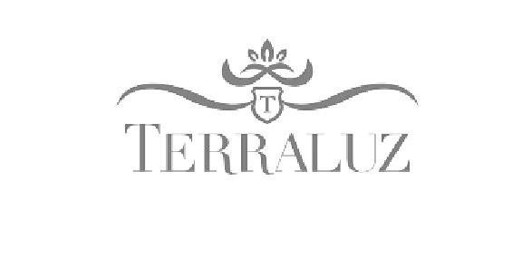Logo Terraluz Gris